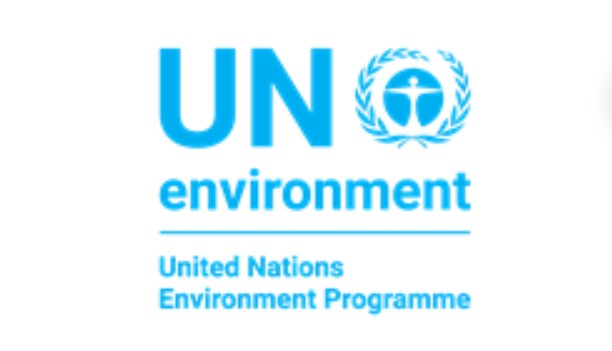 Denmark’s Inger Andersen takes over as head of UN Environment Programme
